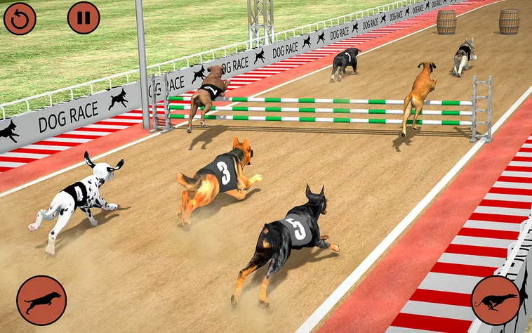 Mẹo Chơi Game Nhanh Đua Chó Tại Jun88 Chắc Thắng Trong Tay Bạn