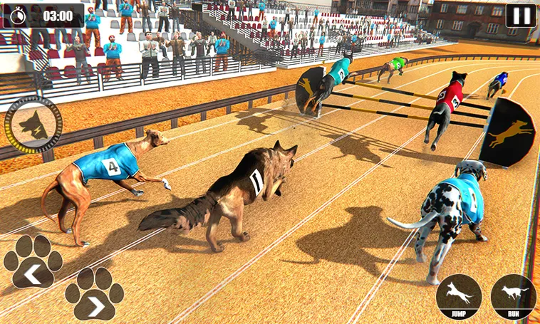 Mẹo Chơi Game Nhanh Đua Chó Tại Jun88 Chắc Thắng Trong Tay Bạn
